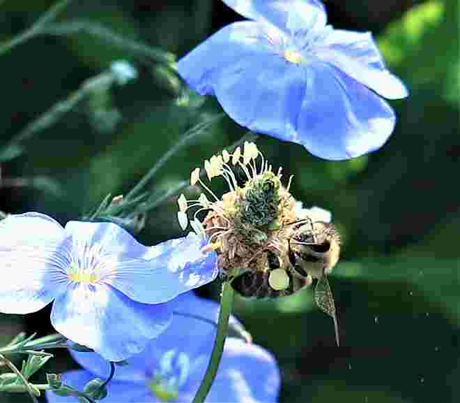 unterm blauen Schirm