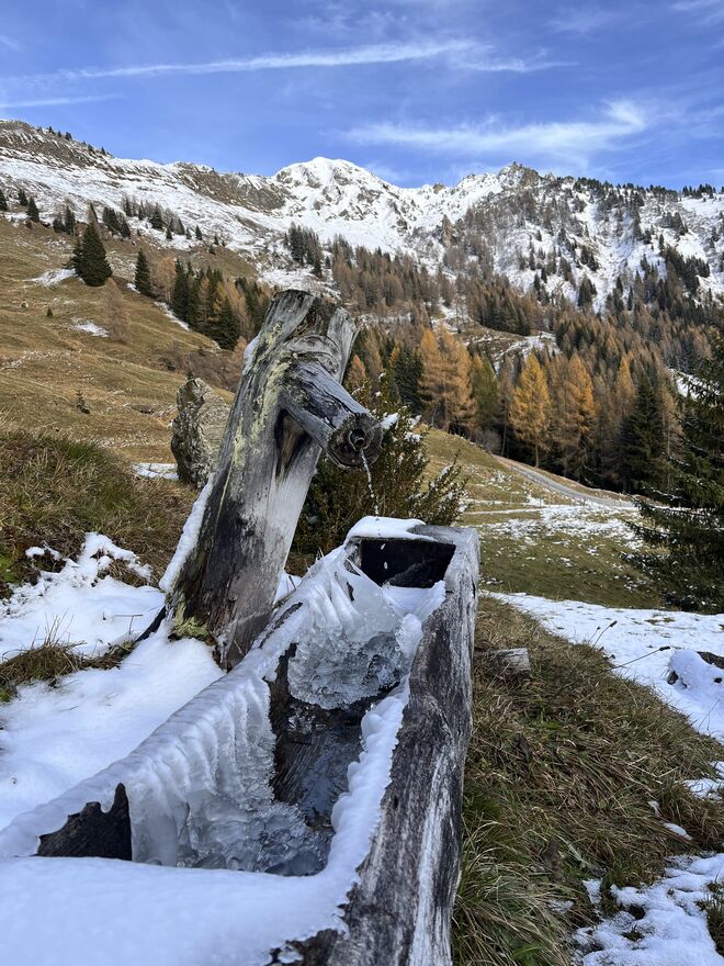 Kurz vor dem Einfrieren