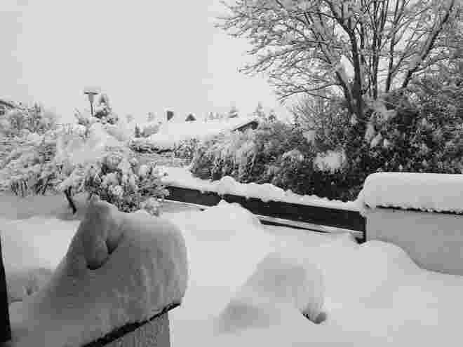 Noch ein Schneeungeheuer