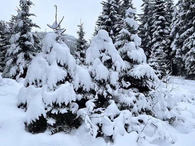 Angertal von heute Nachmittag