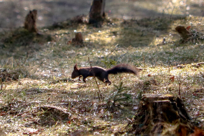 da hat es jemand seeeehr eilig...:)