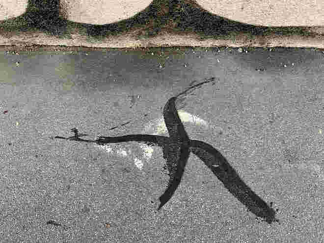 Sign oder nicht sein