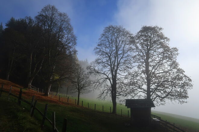 Herbstliche Morgenstimmung