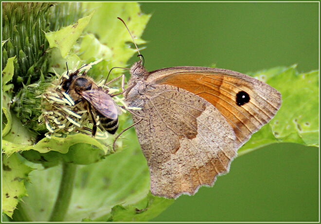 * jetzt schlürf doch nicht so *