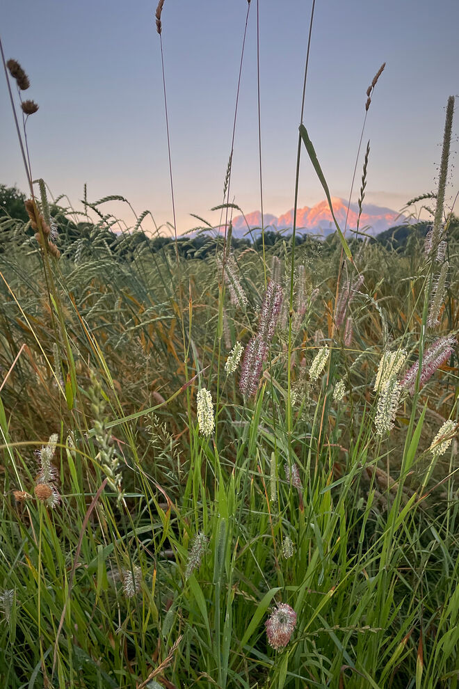 U-Berg in der Morgensonne