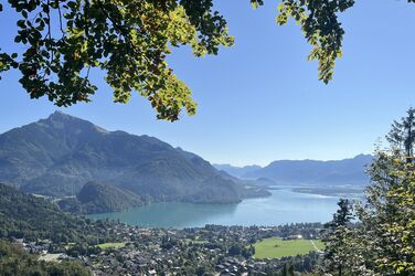 Weitblick