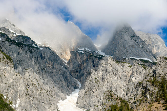 Viel Nebel am Morgen...