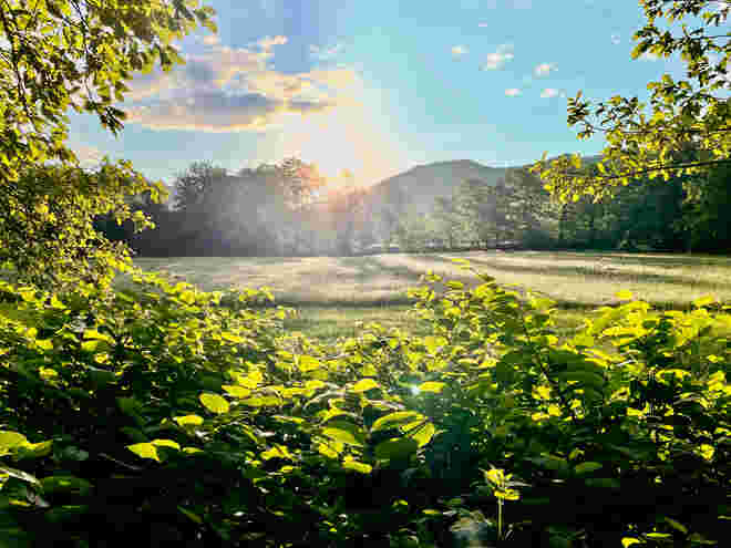Morgensonne
