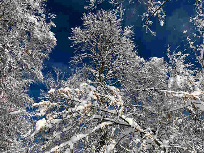Blau über der Au