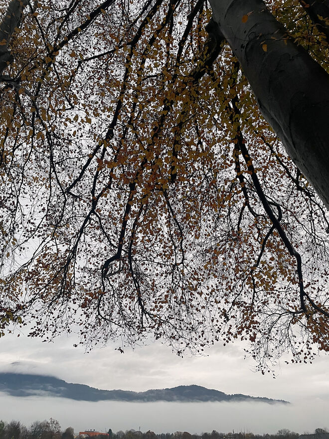 Der Gaisbergrücken ist noch sichtbar