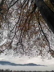 Der Gaisbergrücken ist noch sichtbar