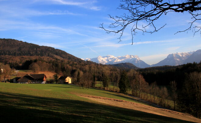 Landschaft mit Gehöft in der Abendsonne beim Heimgehen