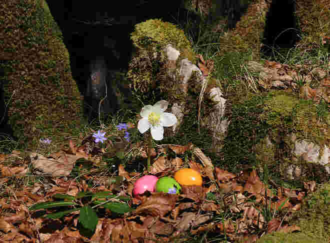 Da war anscheinend schon der Osterhase unterwegs!