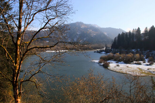Zeichen des Winters am Almbach 