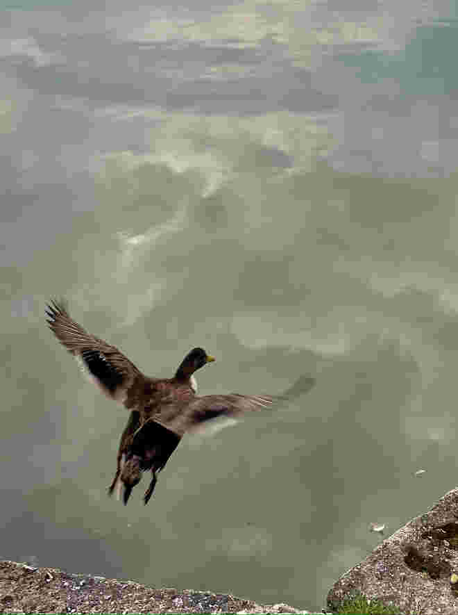 Up and away