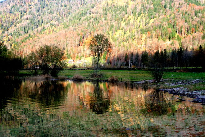 Spätherbstliche "Farbenmelodie"