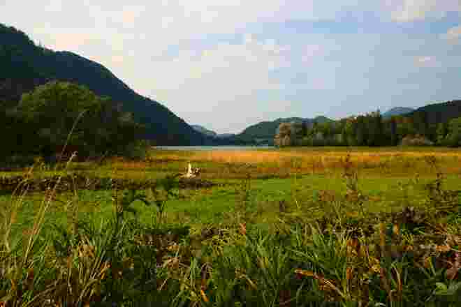 Naturparadies Hintersee
