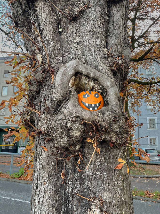 Und ab in den Winterschlaf  ;  )