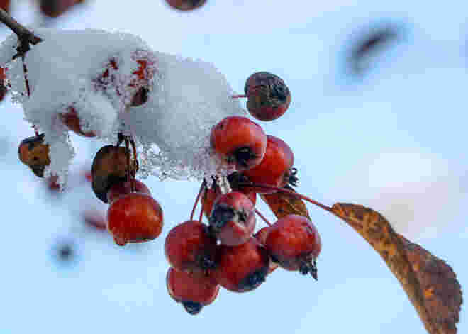 Winterstimmung