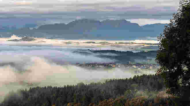 Morgennebel über dem Flachgau