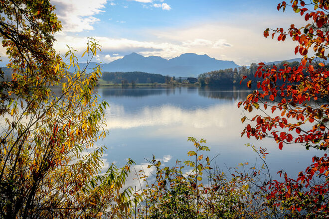 noch einmal ein herrlicher Herbsttag im November...