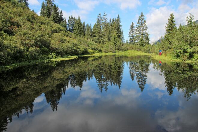Spiegelung im Moorsee