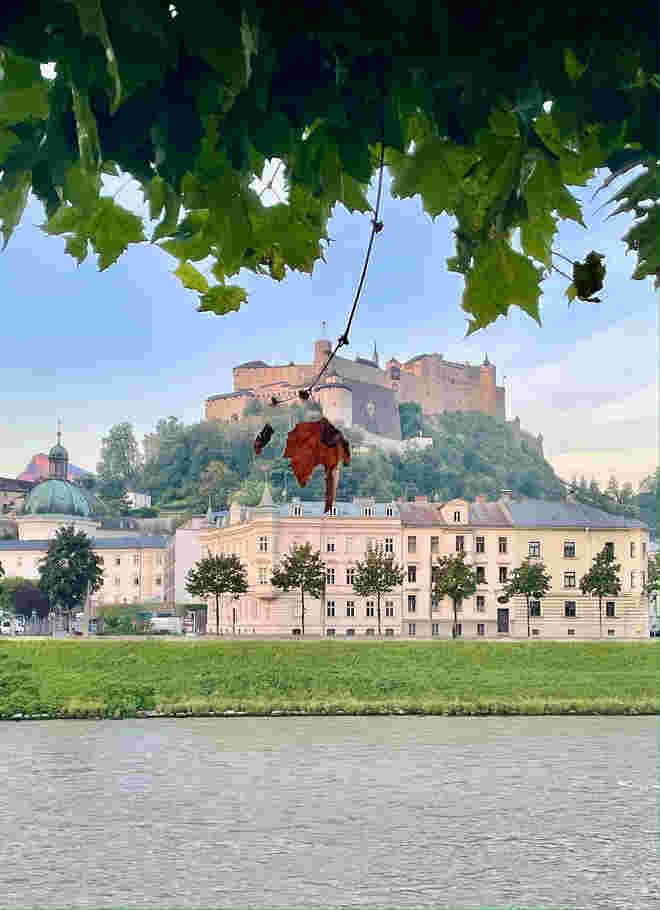 Herbstblatt