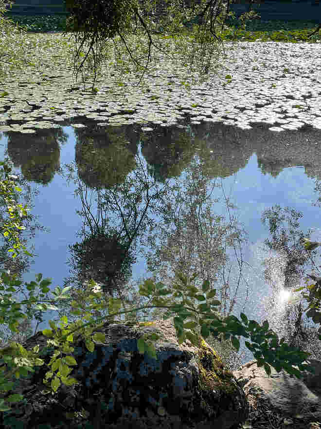 Nawiweiher