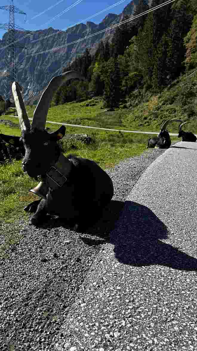 wir belagern den Weg zum Hintersee
