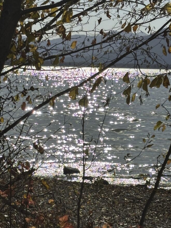 Silbern glitzert der See