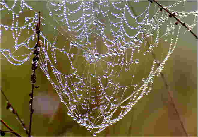 * Herbstcollier *