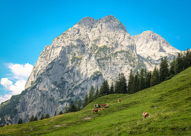 Wandern im Nationalpark Berchtesgarden...