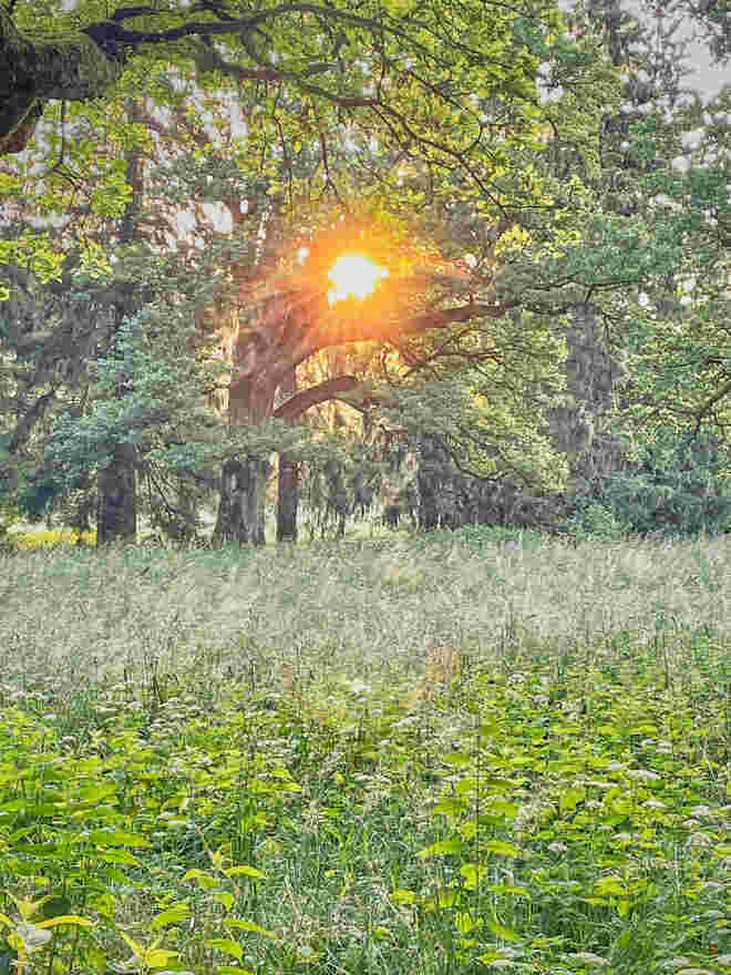 Goldene Stunde
