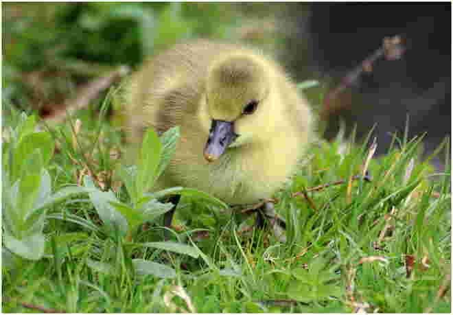 * Gans klein ;)) *