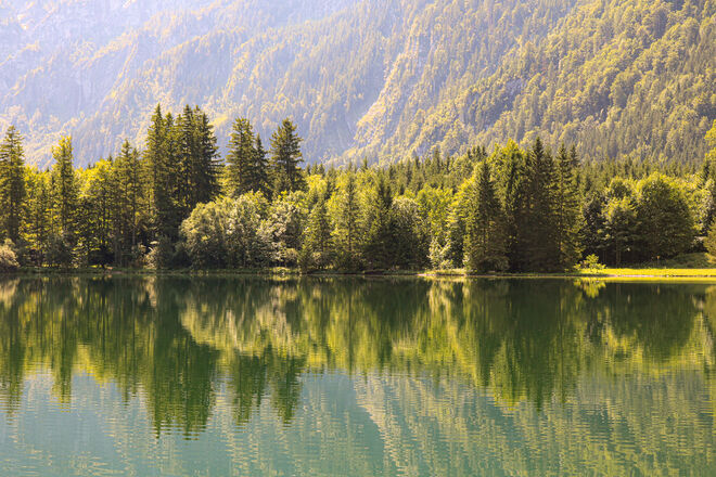 Grün wie tannengrün...