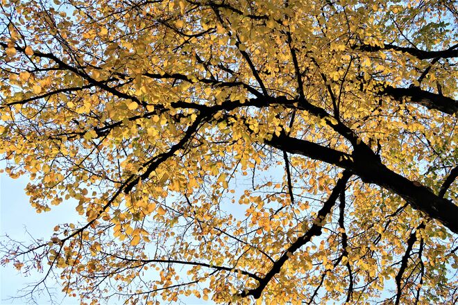 nur einmal gegen den Himmel geblickt...