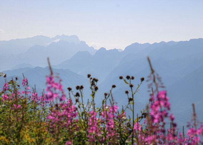 Blick zum Dachstein...