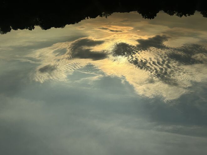 Abendstimmung aus der Westbahn fotografiert