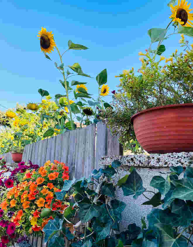 Gartenidylle