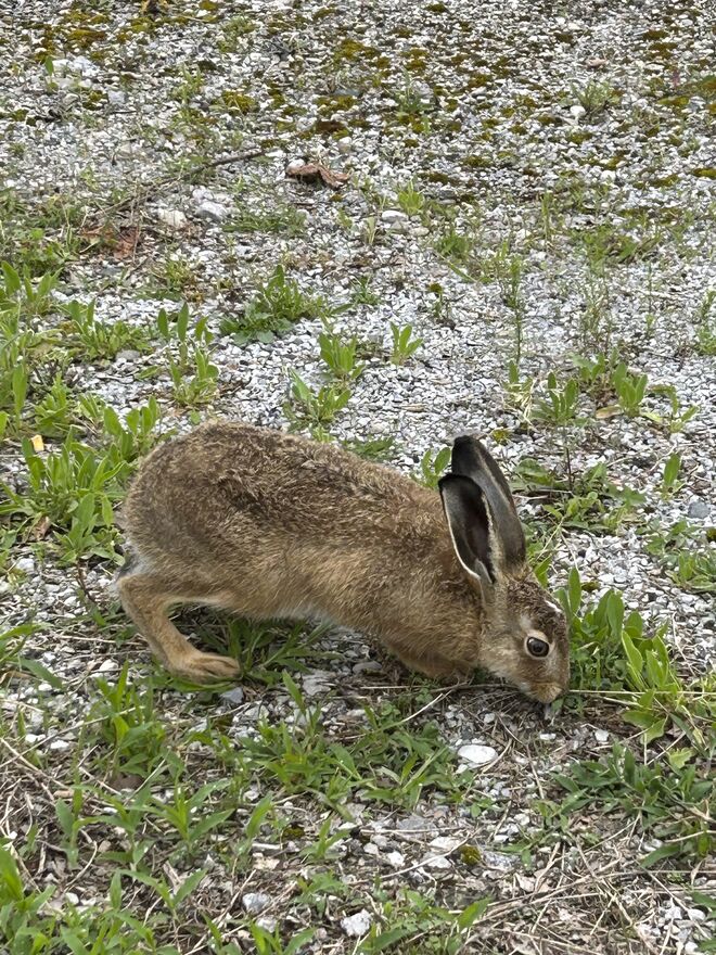 Heute in der Gnigler Straße in Schallmoos