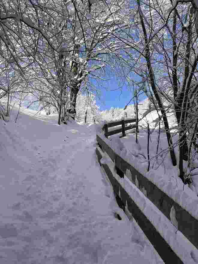 Wanderwege im Winter