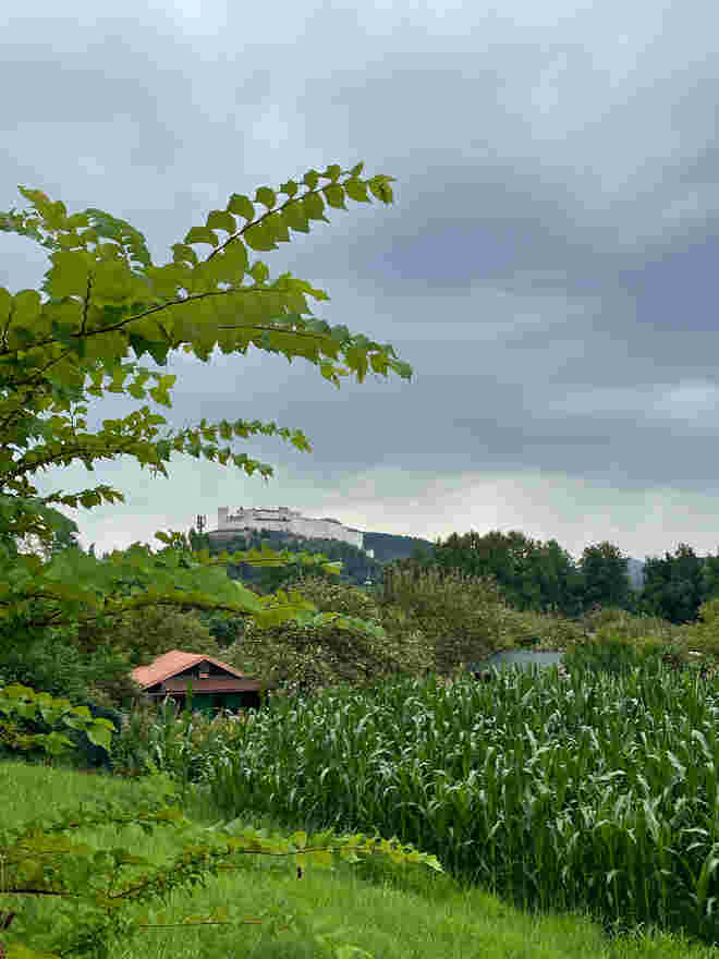 Vom Almkanal