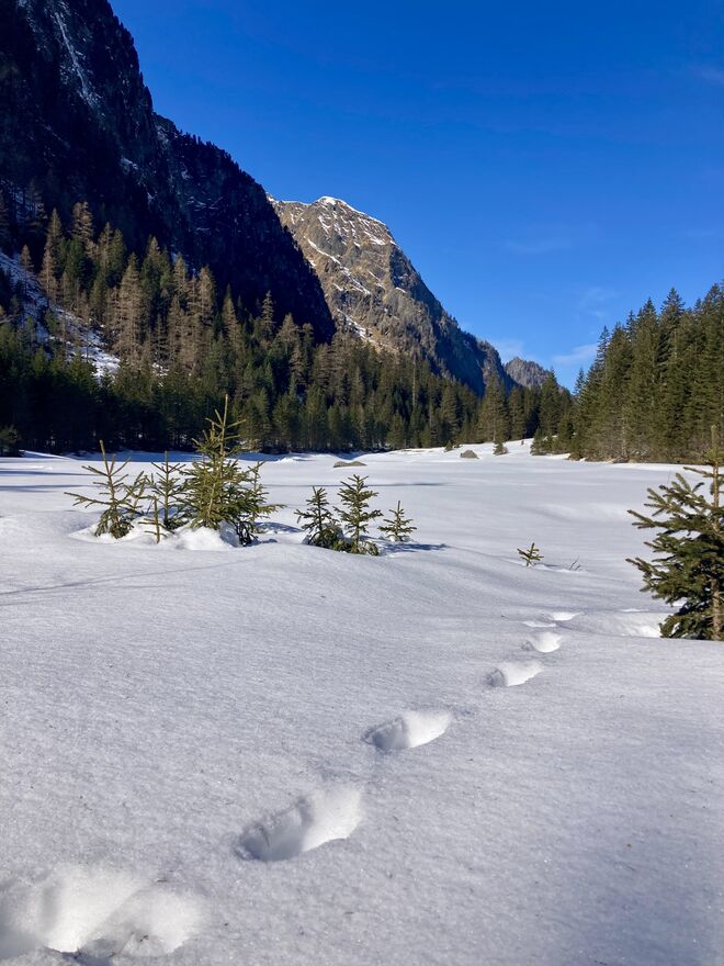 Elisabethsee im Winterschlaf