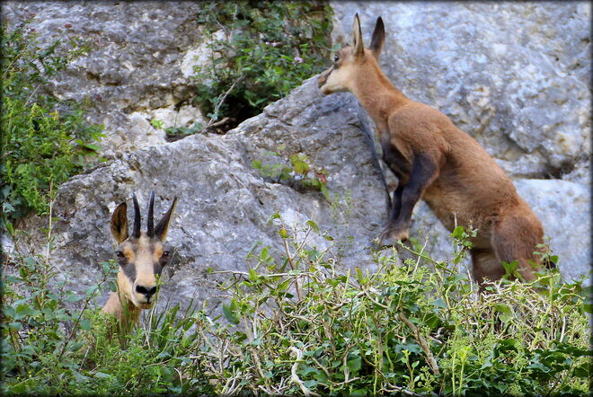 * Schau Kleines, da unten ist die Stadt ! *