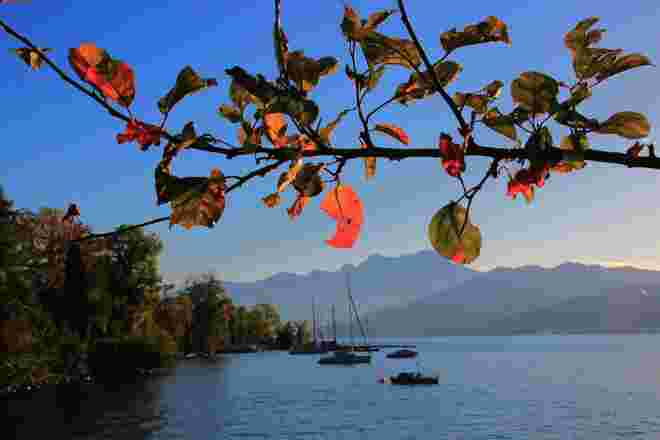 Herbstlicht am Attersee