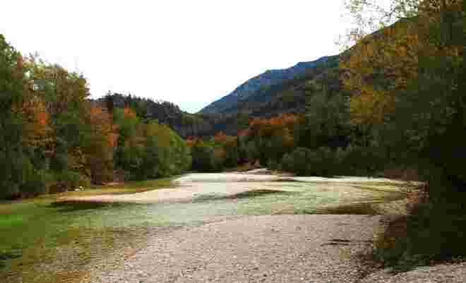 Naturparadies am Weißenbach