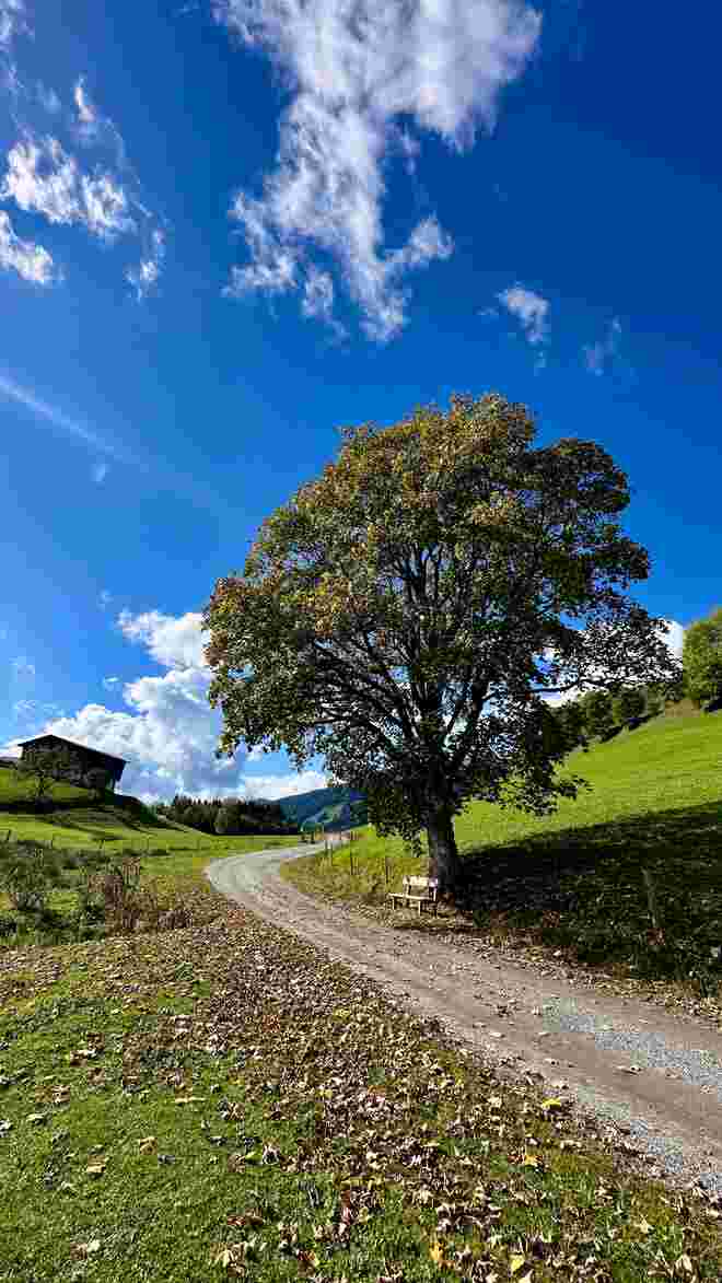 herbstliche Runde am PassThurn