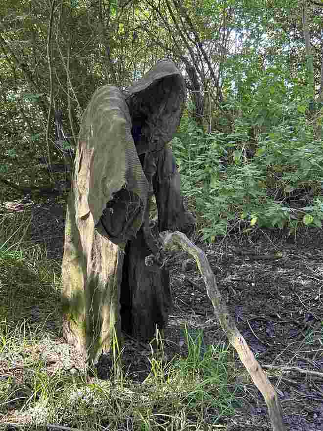 Im Abenteuerwald war’s abenteuerlich