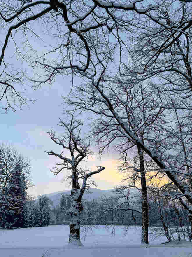 Hellbrunner Morgen