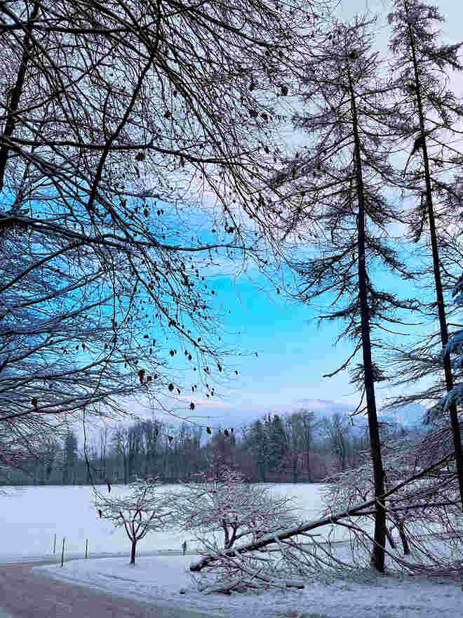 Am Morgen im Park